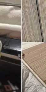 Cevizlibağ'daki KYK kız öğrenci yurdunda yaşanan taciz skandalı: Müdürler görevden alındı