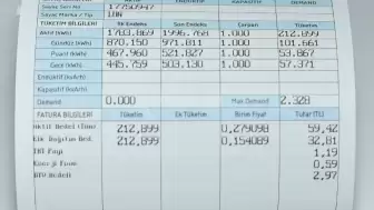 Devlet, elektrik faturası desteğini hangi vatandaşlara sağlıyor?