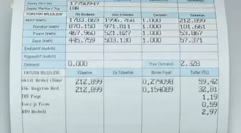 Devlet, elektrik faturası desteğini hangi vatandaşlara sağlıyor?