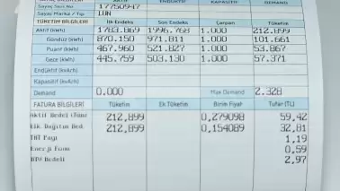 Devlet, elektrik faturası desteğini hangi vatandaşlara sağlıyor?