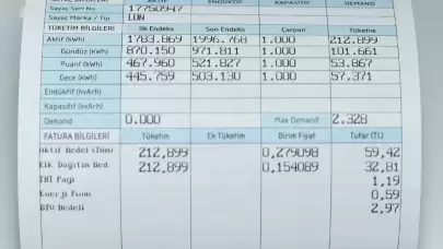 Devlet, elektrik faturası desteğini hangi vatandaşlara sağlıyor?