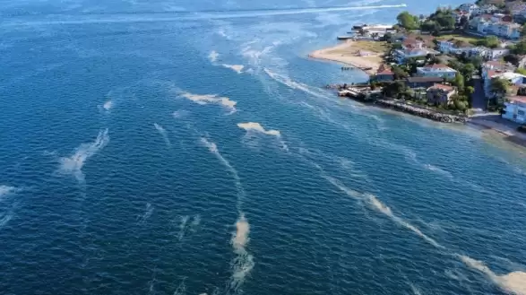Kınalıada çevresindeki müsilaj yoğunluğu dikkat çekiyor
