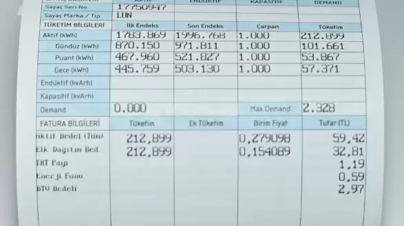 Devlet, elektrik faturası desteğini hangi vatandaşlara sağlıyor?